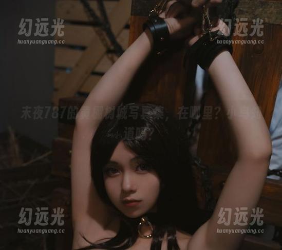 末夜787的黄棚树城写真集，在哪里？小鸟知道吗？